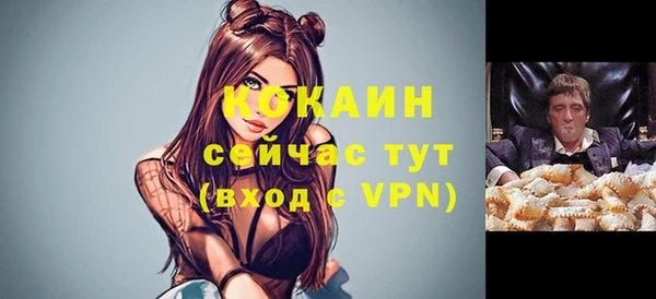 apvp Краснослободск