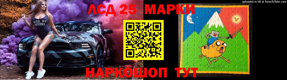 A PVP Елец