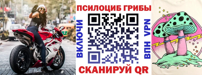 наркошоп Елец Галлюциногенные грибы ЛСД