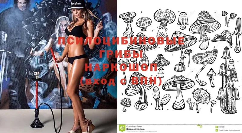 купить наркотики цена  Елец  mega tor  Галлюциногенные грибы MAGIC MUSHROOMS 