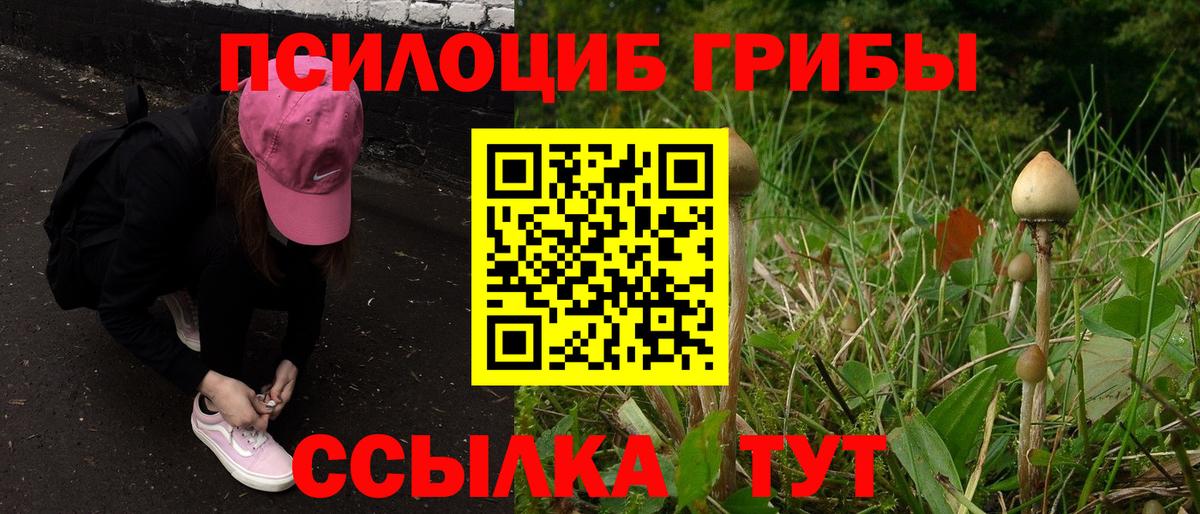 Галлюциногенные грибы прущие грибы  Вход с VPN  Елец 