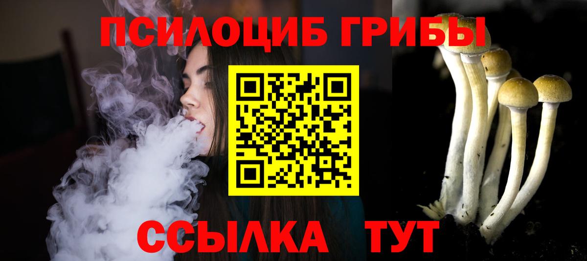 Галлюциногенные грибы Cubensis  Елец 